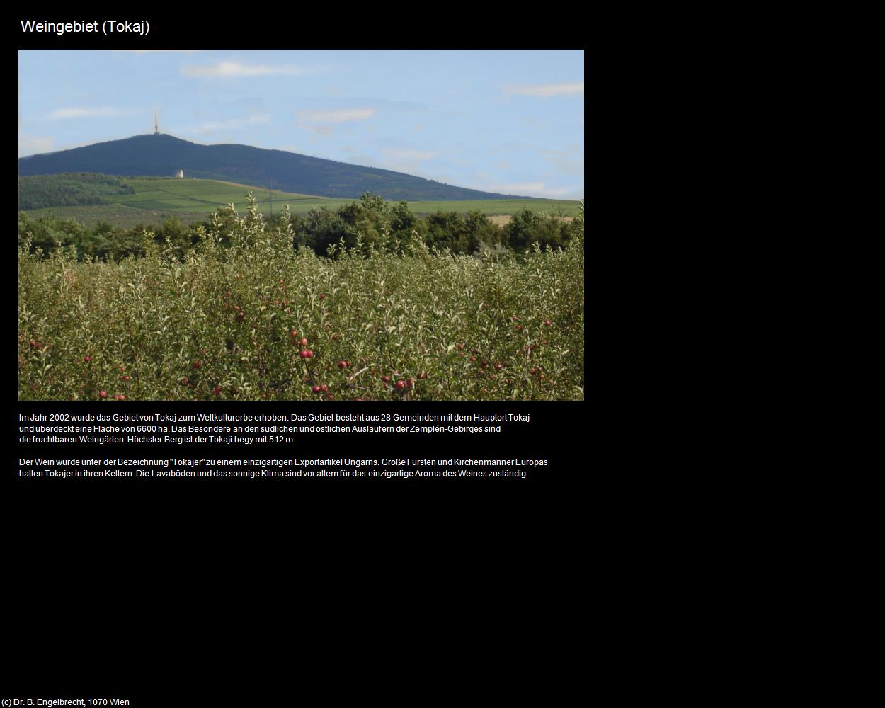 Weingebiet (Tokaj) in Kulturatlas-UNGARN