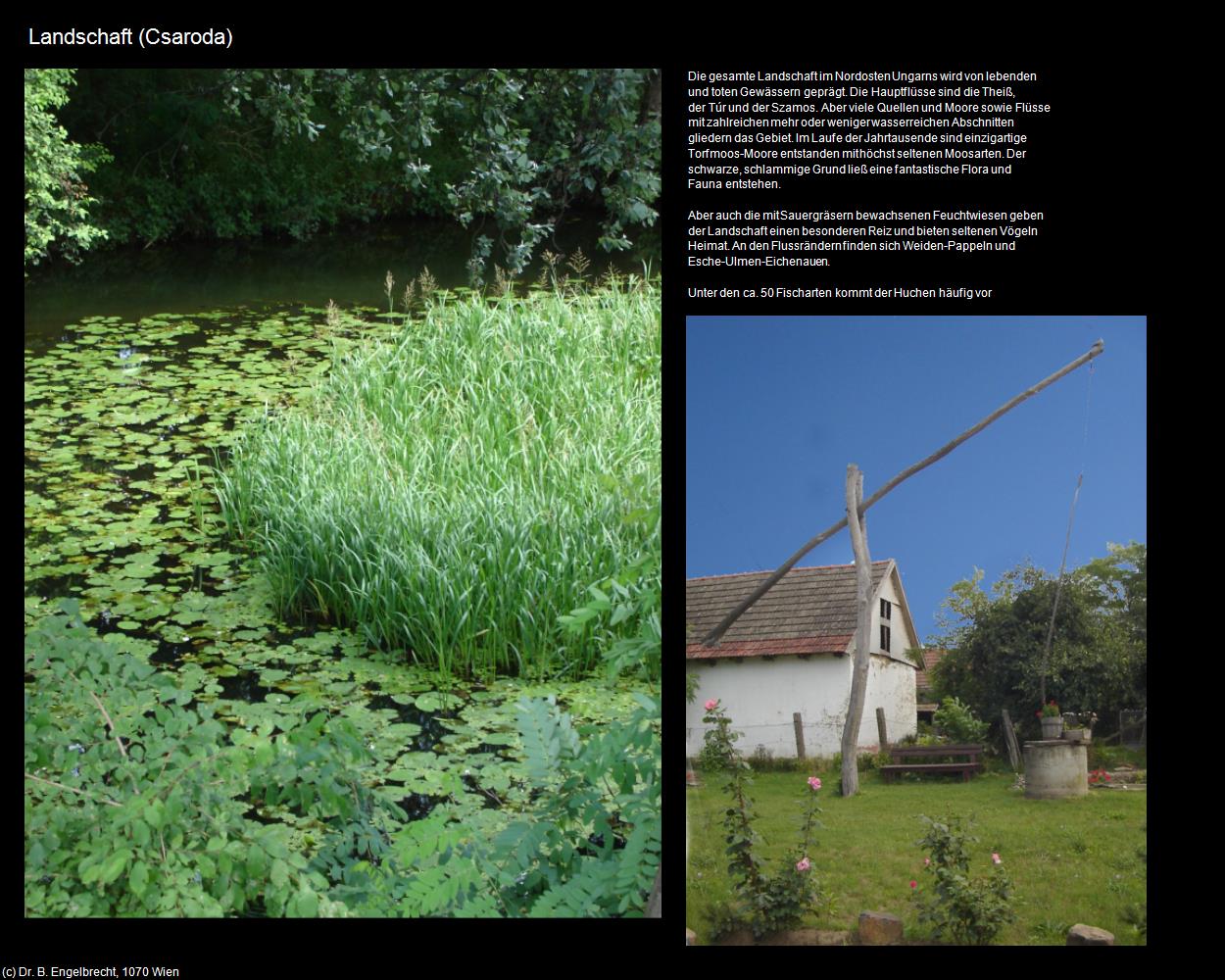 Landschaft (Csaroda) in Kulturatlas-UNGARN