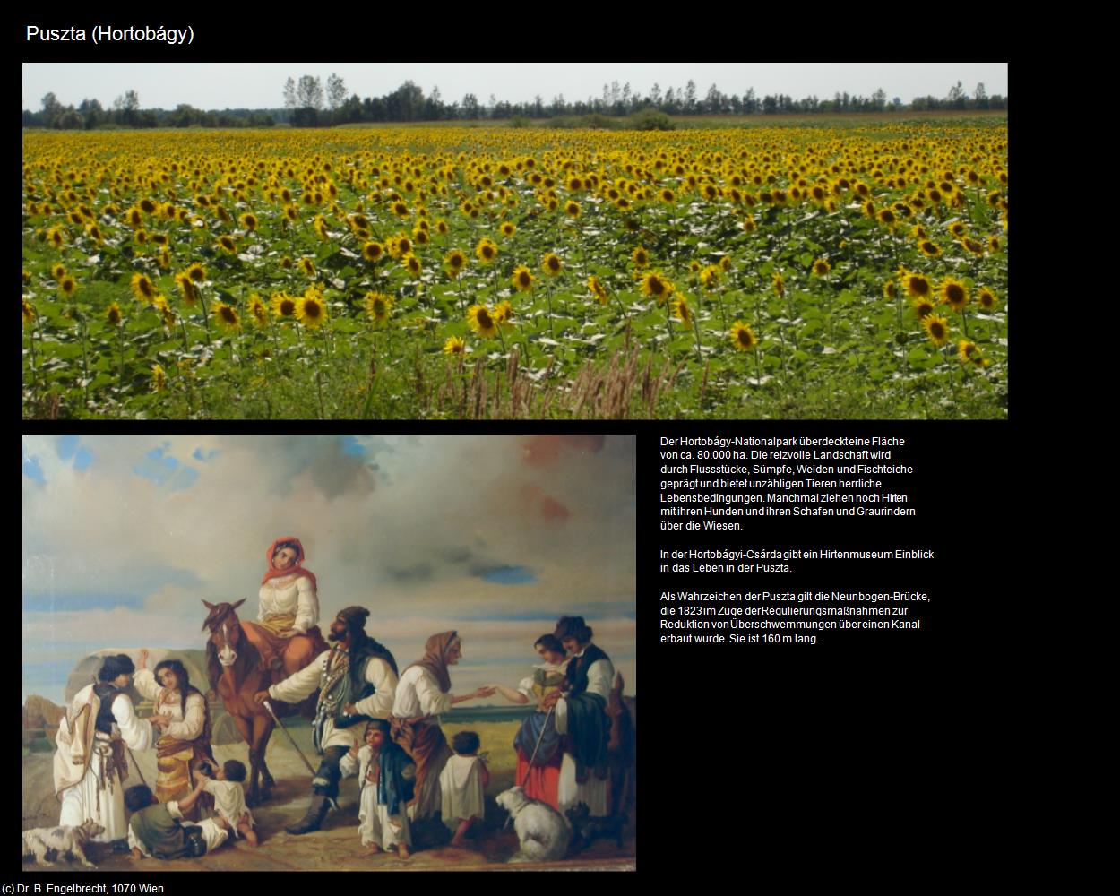 Puszta (Hortobágy) in Kulturatlas-UNGARN