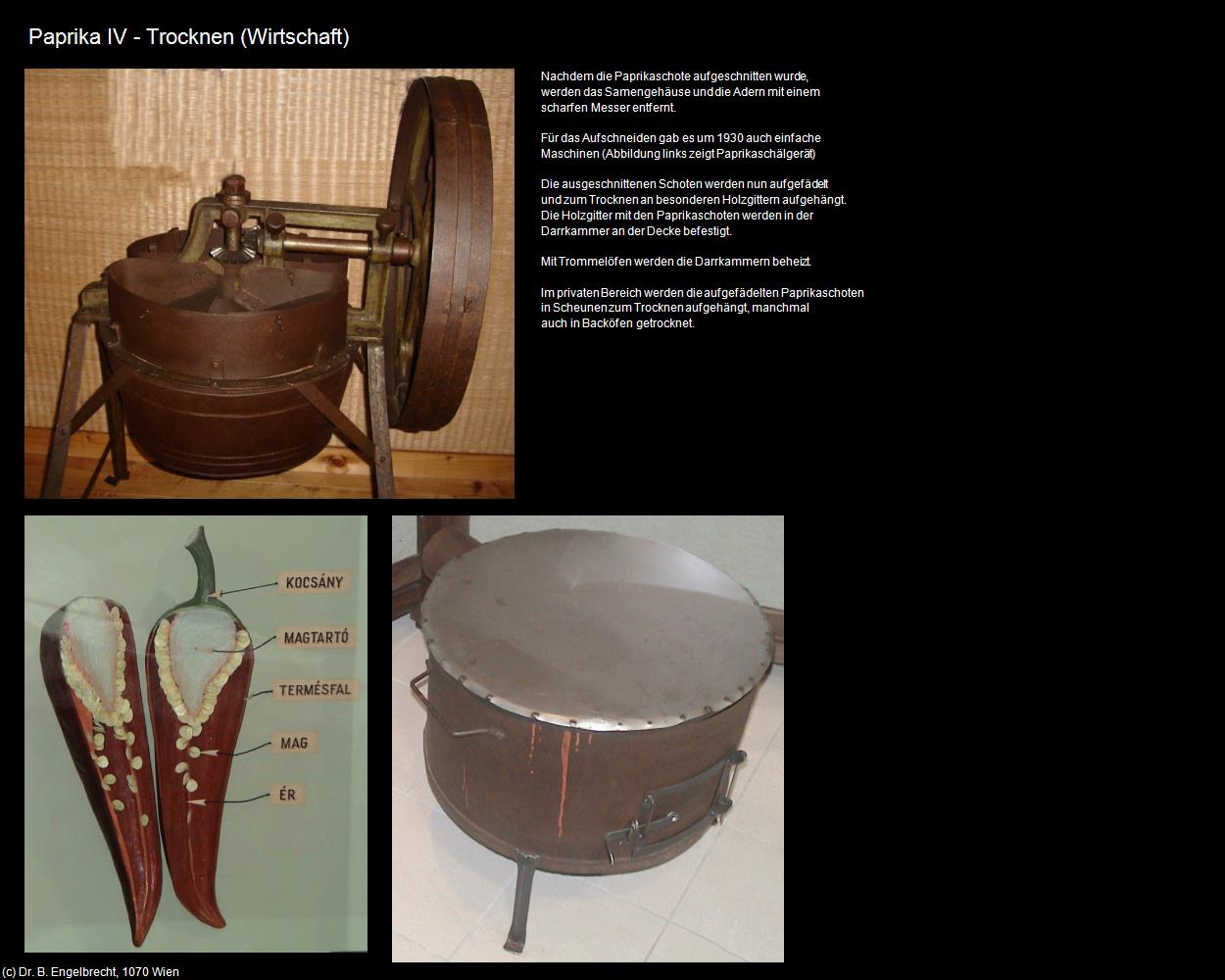 Paprika IV - Trocknen (Bugac) in Kulturatlas-UNGARN