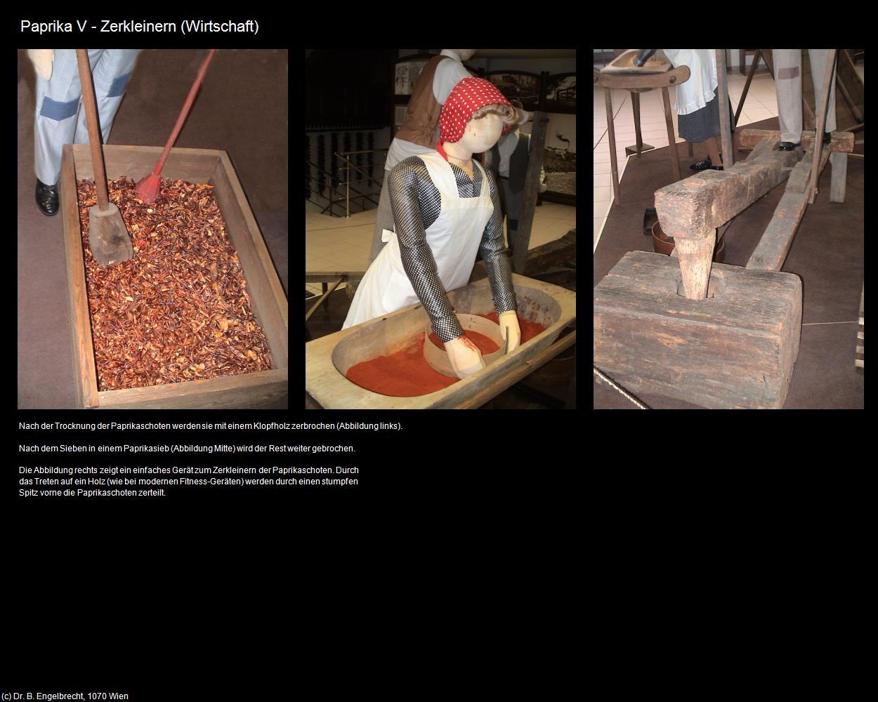 Paprika V - Zerkleinern (Bugac) in Kulturatlas-UNGARN