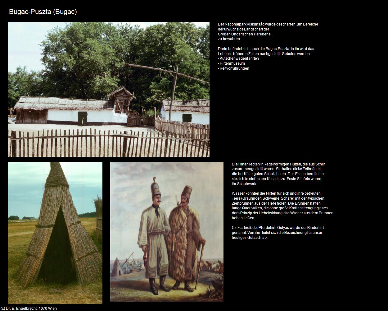 Bugac-Puszta (Bugac) in Kulturatlas-UNGARN(c)B.Engelbrecht