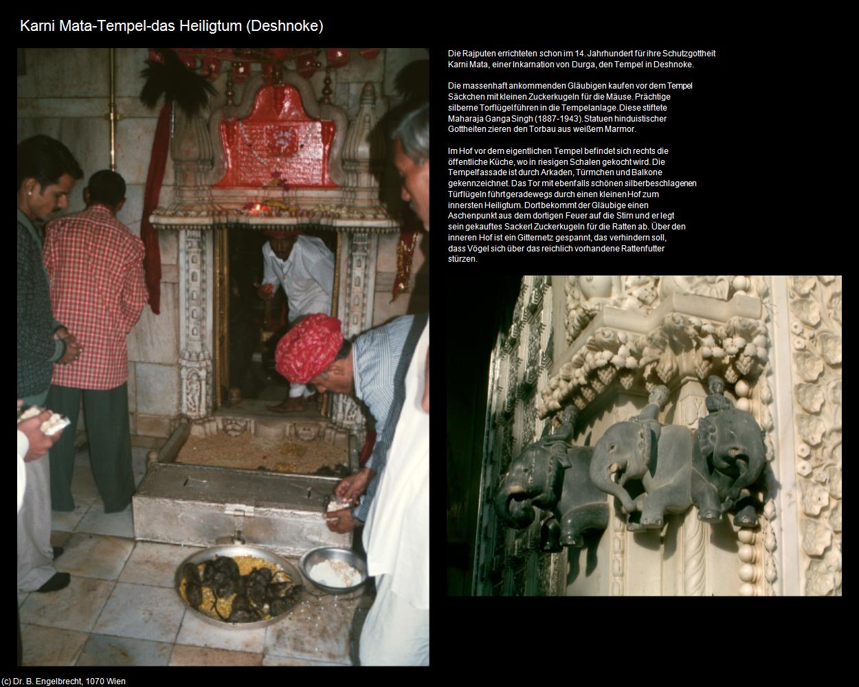 Karni Mata-Tempel-das Heiligtum (Deshnoke) in Rajasthan - das Land der Könige