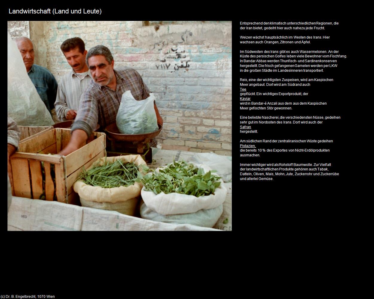 Landwirtschaft (IRAN-Land und Leute) in Iran(c)B.Engelbrecht