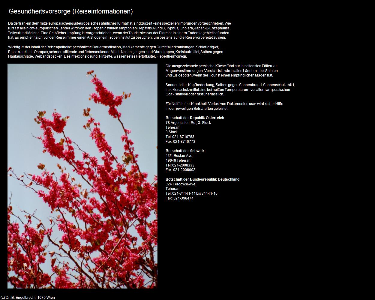 Gesundheitsvorbereitung (IRAN-Reiseinformationen) in Iran