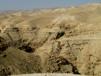 Wadi Qelt  (Jericho)