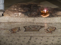 Kirche der Brotvermehrung I  (Tabgha)