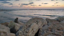 Andromeda-Felsen  (Tel Aviv-Yafo)