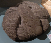 Azteken (+Allgemeines)