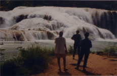Cascadas de Agua Azul (Arroyo Aqua Azul)