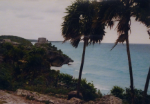 Ruinen Maya-Stadt I (Tulum)