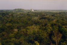 Ruinen Maya-Stadt II (Coba)