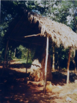 Maya-Ruinen Sayil (Sayil)