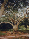 Maya-Ruinen Labna II  (Labna)