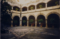 Kathedrale Maria Himmelfahrt (Cuernavaca)