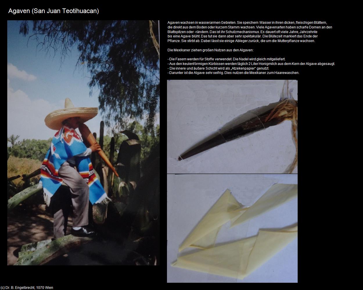 Agaven (San Juan Teotihuacan) in Kulturatlas-MEXIKO