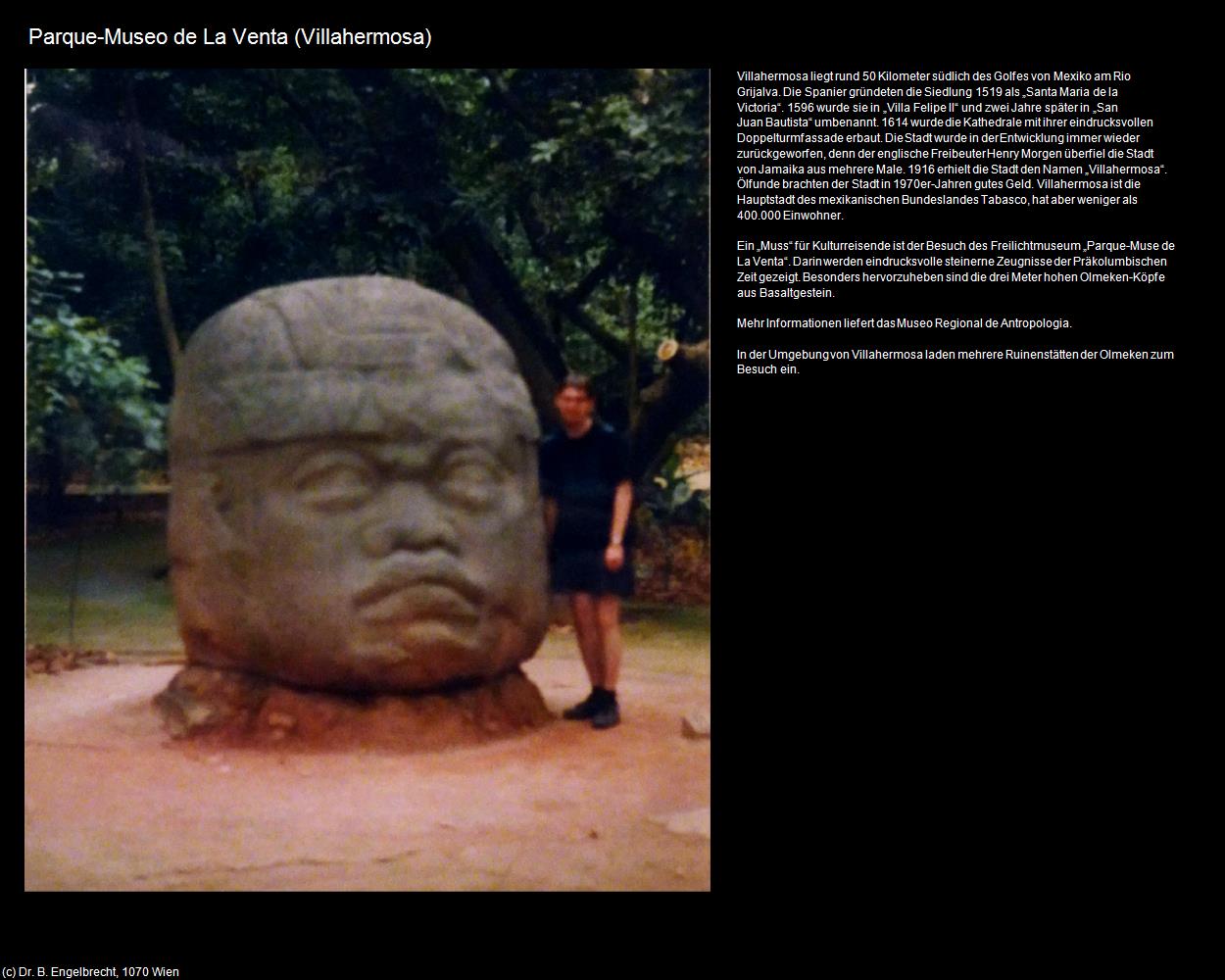 Parque-Museo de La Venta (Villahermosa) in Kulturatlas-MEXIKO