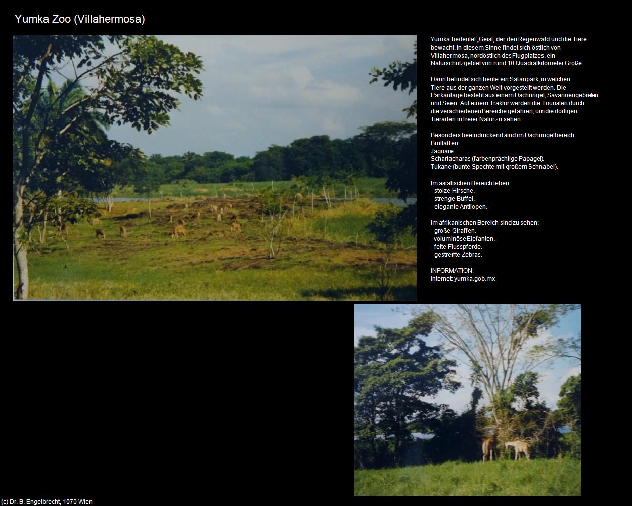 Yumka Zoo (Villahermosa) in Kulturatlas-MEXIKO