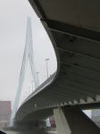 Erasmusbrücke|Erasmusbrug (Rotterdam)