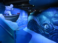 Schifffahrtsmuseum|Scheepvaart Museum IV (Amsterdam)