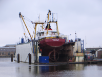 Hafen (Den Helder)