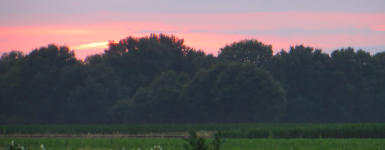 Moorlandschaft (Anloo bei Assen)