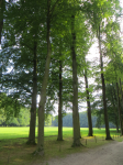 Schlosspark (Apeldoorn)