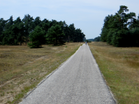 Nationaal Park de Hoge Veluwe (Otterlo bei Arnhem)