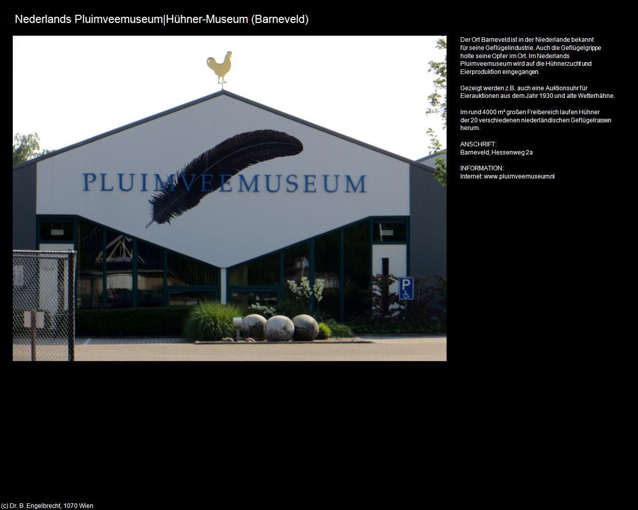 Nederlands Pluimveemuseum|Hühner-Museum (Barneveld) in Kulturatlas-NIEDERLANDE