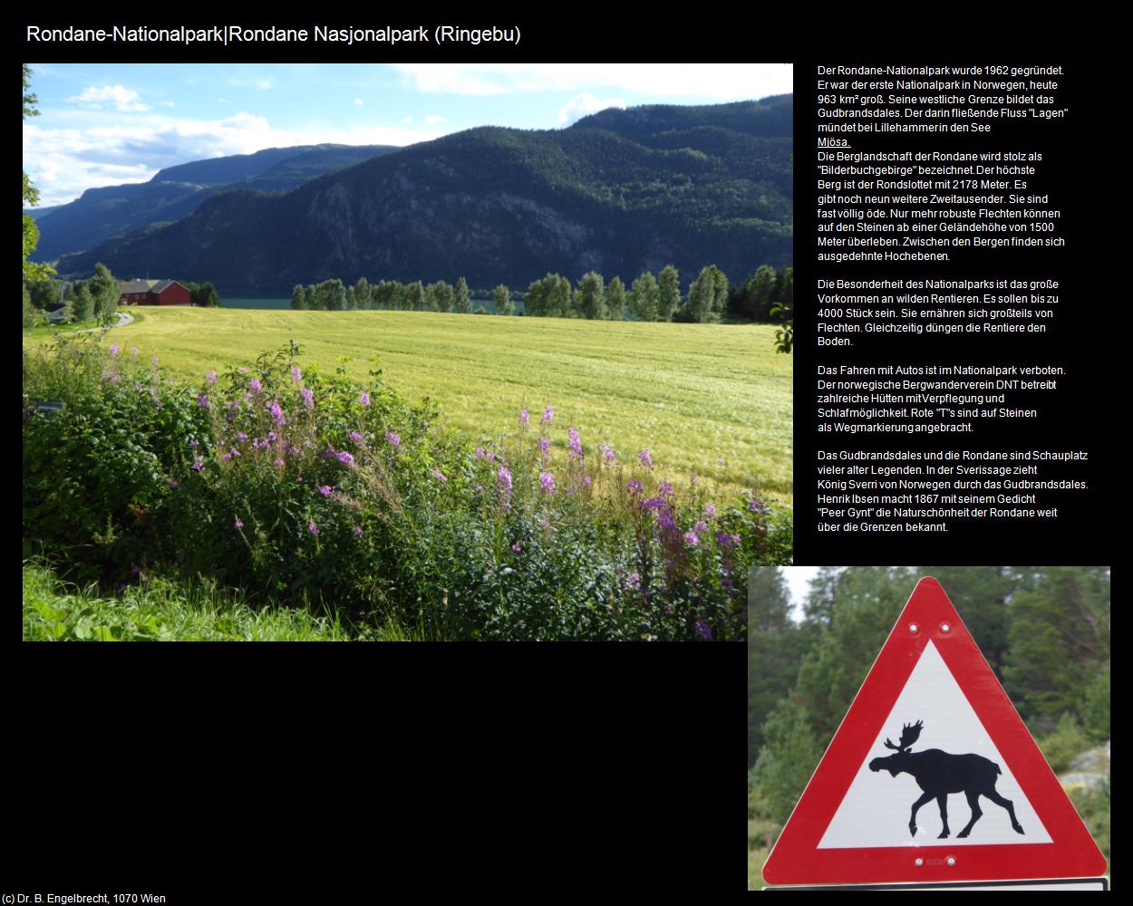 Rondane-Nationalpark|Rondane Nasjonalpark (Ringebu) in Kulturatlas-NORWEGEN(c)B.Engelbrecht