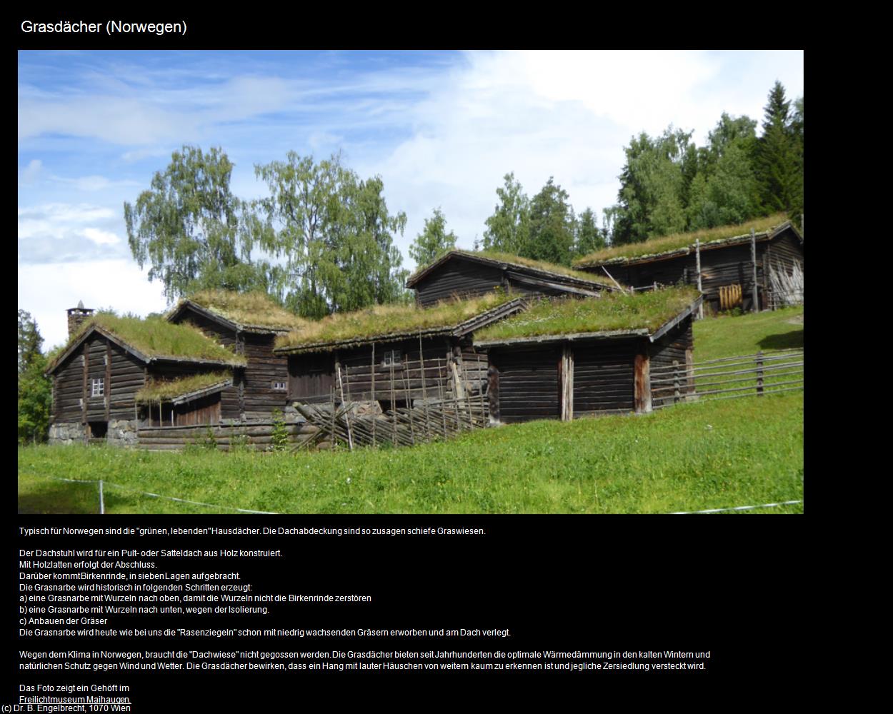 Grasdächer (Norwegen-Allgemein) in Kulturatlas-NORWEGEN(c)B.Engelbrecht
