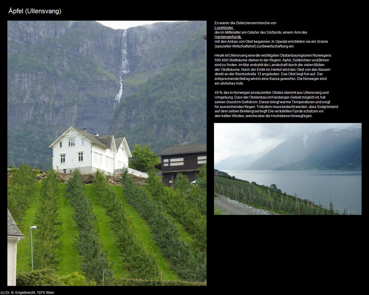 Äpfel (Ullensvang) in Kulturatlas-NORWEGEN(c)B.Engelbrecht