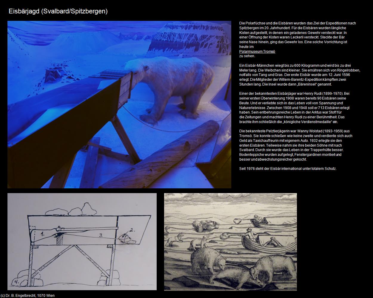 Eisbärjagd (Svalbard/Spitzbergen) in Kulturatlas-NORWEGEN(c)B.Engelbrecht