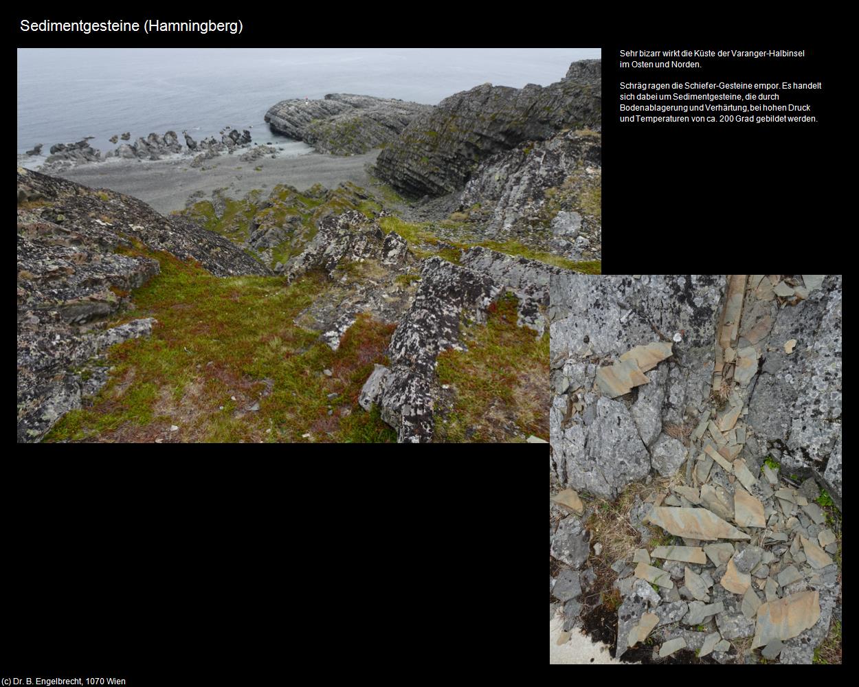 Sedimentgesteine (Hamningberg) in Kulturatlas-NORWEGEN