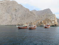 Meeresarm Khawr Sham I (Khasab im Oman)