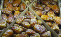 Dattel  (+Oman)