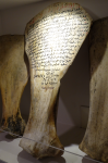 Nizwa-Museum II (Nizwa im Oman)