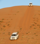 Ramlat Al Wahiba II (Al-Wasil im Oman)