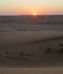 Sonnenuntergang in der Wüste (Al-Wasil im Oman)
