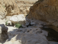 Wadi Bani Khalid II (Mugal im Oman)
