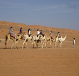 Sonnenaufgang in der Wüste (Al-Wasil im Oman)