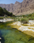 Wadi-Tiwi (Tiwi im Oman)