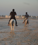 Strand Salalah (Salalah im Oman)