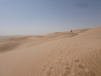 Rub al-Khali-Wüste II (Dauka im Oman)