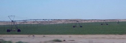 Center-Pivot-Irrigation/Kreisbewässerung (Dauka im Oman)
