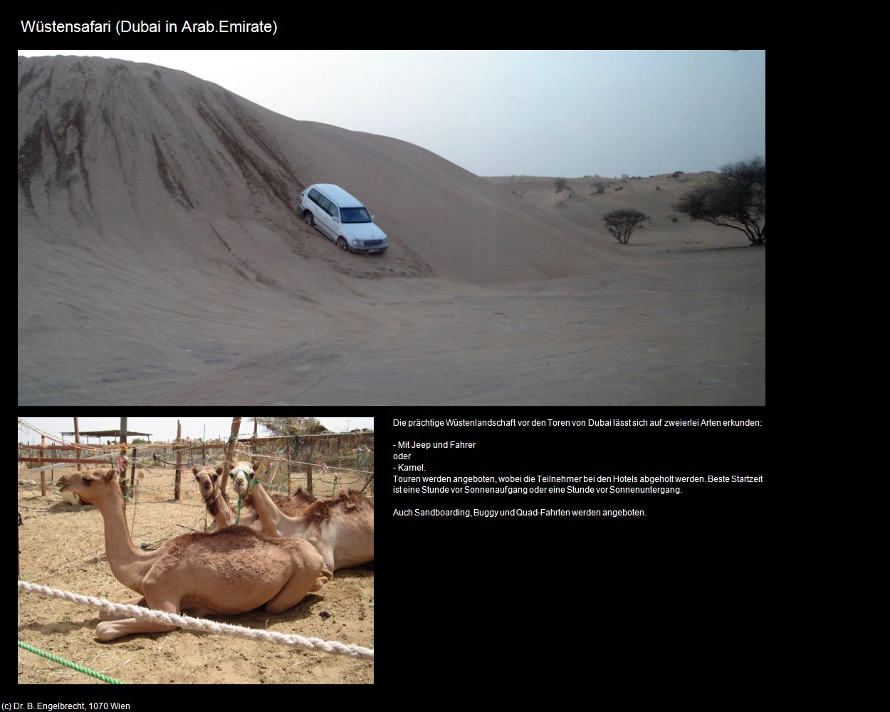 Wüstensafari (Dubai-Stadt in Arab.Emirate) in Kulturatlas-Arab.Emirate+Oman