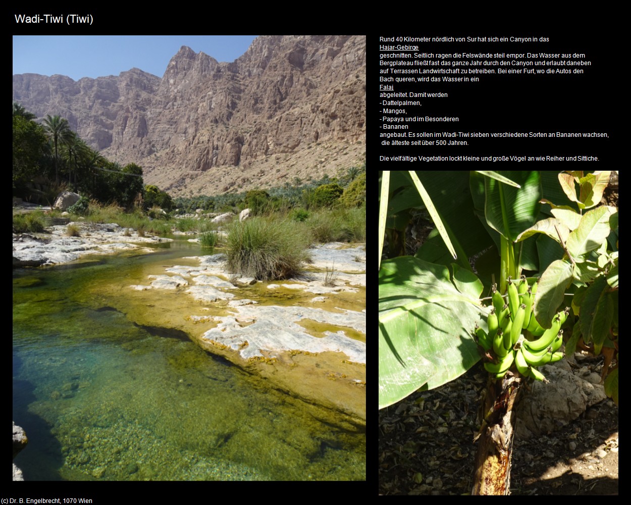 Wadi-Tiwi (Tiwi im Oman) in Kulturatlas-Arab.Emirate+Oman(c)B.Engelbrecht