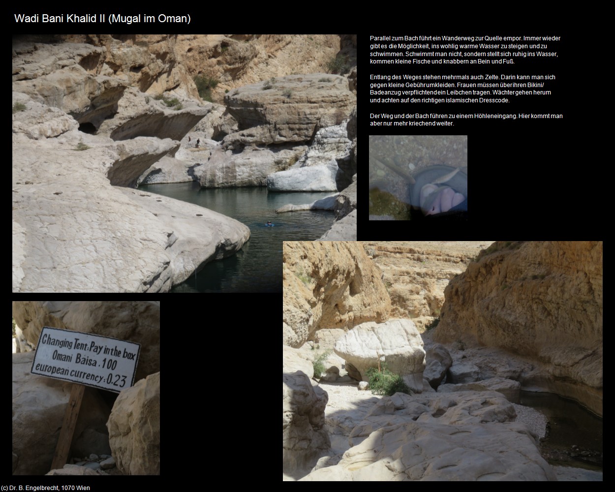 Wadi Bani Khalid II (Mugal im Oman) in Kulturatlas-Arab.Emirate+Oman