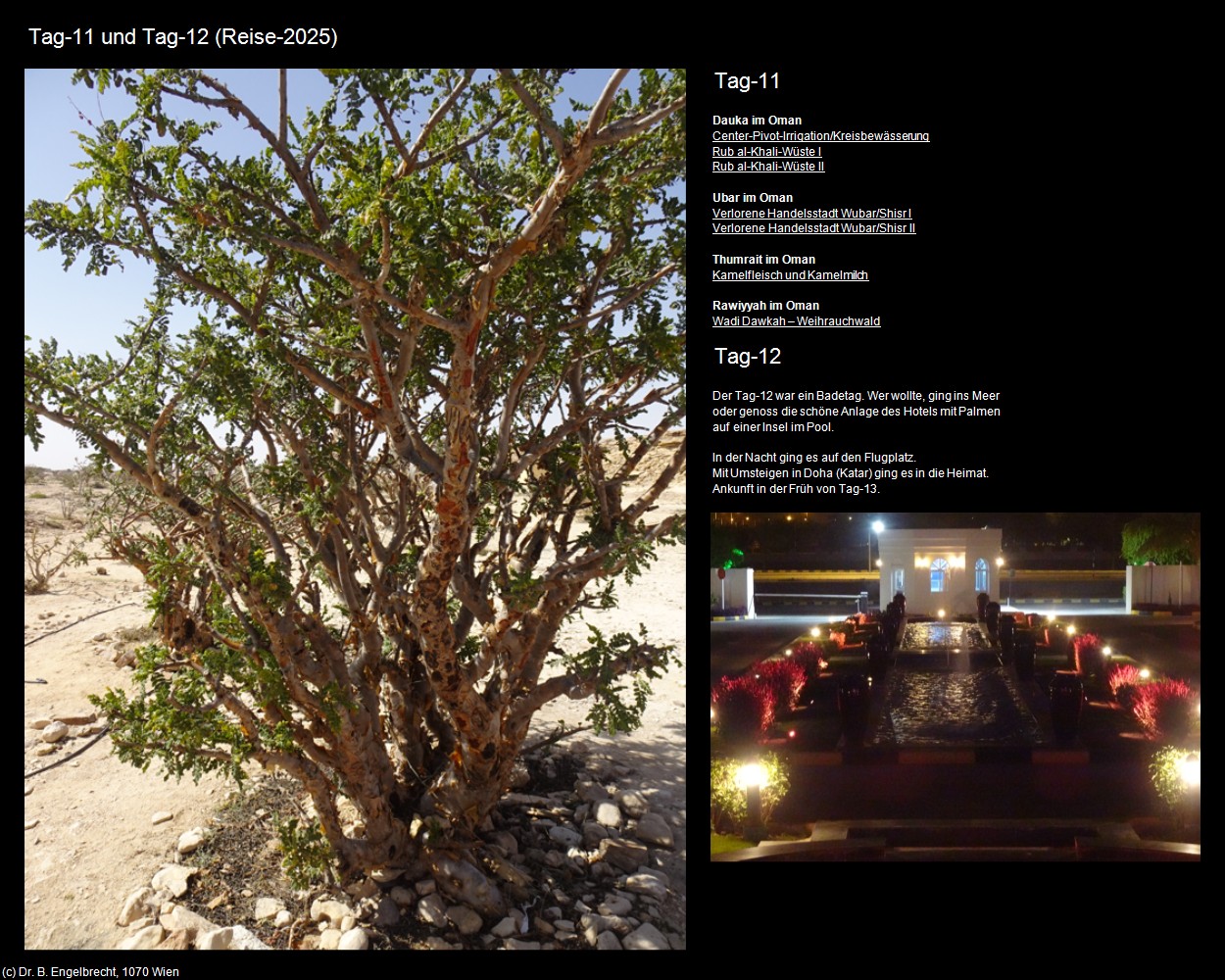 Tag-11 und Tag-12 (Reise-2025) in Kulturatlas-Arab.Emirate+Oman(c)B.Engelbrecht
