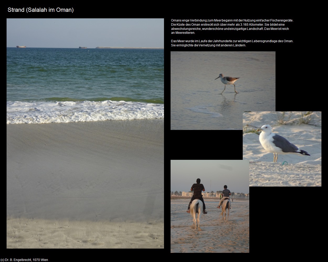 Strand Salalah (Salalah im Oman) in Kulturatlas-Arab.Emirate+Oman